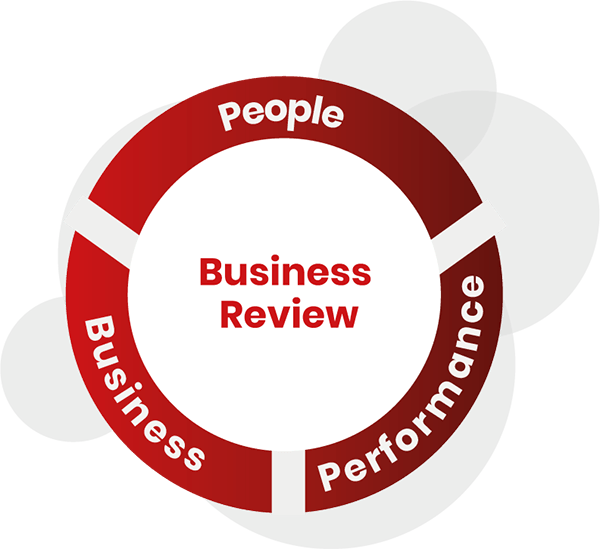 Business Review Model